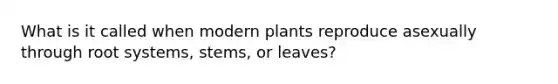 What is it called when modern plants reproduce asexually through root systems, stems, or leaves?