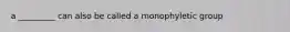 a _________ can also be called a monophyletic group