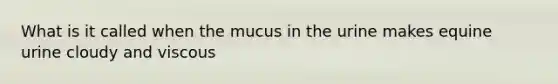 What is it called when the mucus in the urine makes equine urine cloudy and viscous