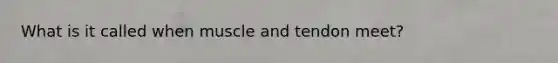 What is it called when muscle and tendon meet?