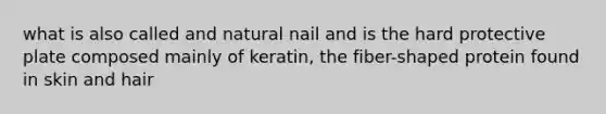 what is also called and natural nail and is the hard protective plate composed mainly of keratin, the fiber-shaped protein found in skin and hair