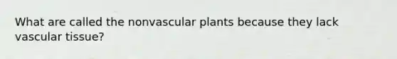 What are called the nonvascular plants because they lack vascular tissue?