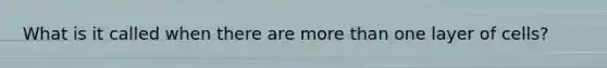 What is it called when there are more than one layer of cells?