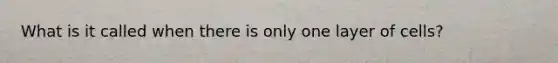 What is it called when there is only one layer of cells?