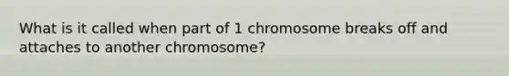 What is it called when part of 1 chromosome breaks off and attaches to another chromosome?