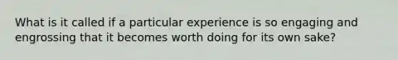 What is it called if a particular experience is so engaging and engrossing that it becomes worth doing for its own sake?