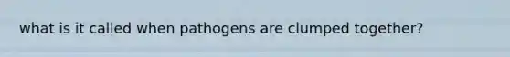 what is it called when pathogens are clumped together?