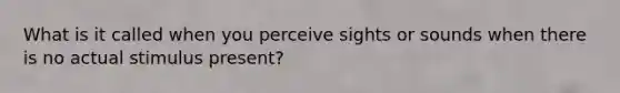 What is it called when you perceive sights or sounds when there is no actual stimulus present?