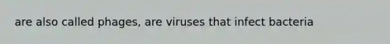 are also called phages, are viruses that infect bacteria