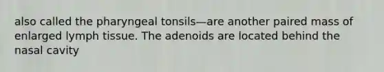 also called the pharyngeal tonsils—are another paired mass of enlarged lymph tissue. The adenoids are located behind the nasal cavity