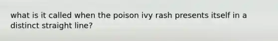 what is it called when the poison ivy rash presents itself in a distinct straight line?