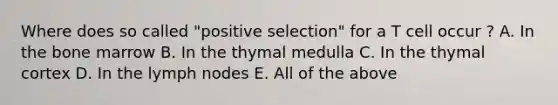 Where does so called "positive selection" for a T cell occur ? A. In the bone marrow B. In the thymal medulla C. In the thymal cortex D. In the lymph nodes E. All of the above