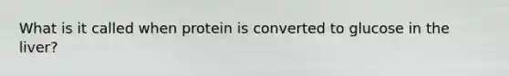 What is it called when protein is converted to glucose in the liver?