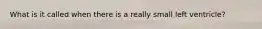 What is it called when there is a really small left ventricle?