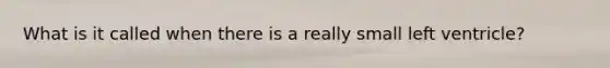 What is it called when there is a really small left ventricle?