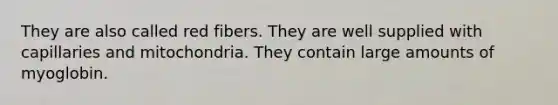 They are also called red fibers. They are well supplied with capillaries and mitochondria. They contain large amounts of myoglobin.
