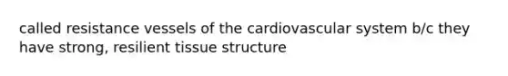 called resistance vessels of the cardiovascular system b/c they have strong, resilient tissue structure