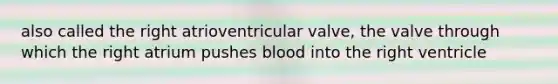 also called the right atrioventricular valve, the valve through which the right atrium pushes blood into the right ventricle