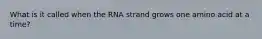 What is it called when the RNA strand grows one amino acid at a time?