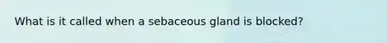 What is it called when a sebaceous gland is blocked?