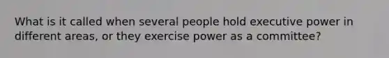 What is it called when several people hold executive power in different areas, or they exercise power as a committee?