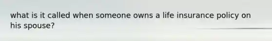 what is it called when someone owns a life insurance policy on his spouse?