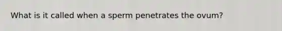 What is it called when a sperm penetrates the ovum?