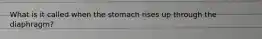 What is it called when the stomach rises up through the diaphragm?