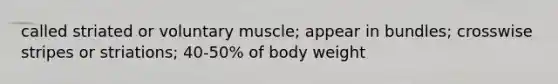 called striated or voluntary muscle; appear in bundles; crosswise stripes or striations; 40-50% of body weight