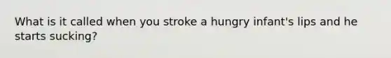 What is it called when you stroke a hungry infant's lips and he starts sucking?