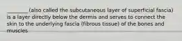 ________ (also called the subcutaneous layer of superficial fascia) is a layer directly below the dermis and serves to connect the skin to the underlying fascia (fibrous tissue) of the bones and muscles