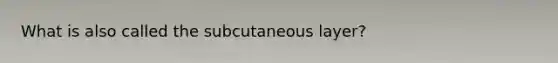 What is also called the subcutaneous layer?