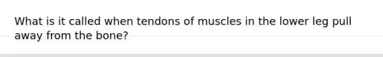 What is it called when tendons of muscles in the lower leg pull away from the bone?
