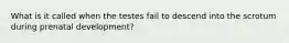 What is it called when the testes fail to descend into the scrotum during prenatal development?