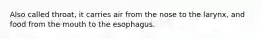 Also called throat, it carries air from the nose to the larynx, and food from the mouth to the esophagus.