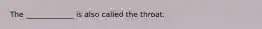 The _____________ is also called the throat.