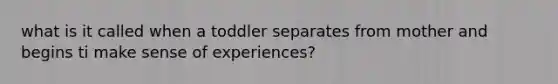 what is it called when a toddler separates from mother and begins ti make sense of experiences?