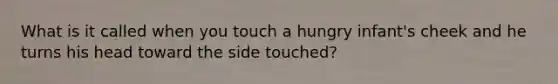 What is it called when you touch a hungry infant's cheek and he turns his head toward the side touched?