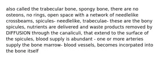 also called the trabecular bone, spongy bone, there are no osteons, no rings, open space with a network of needlelike crossbeams, spicules- needlelike, trabeculae- these are the bony spicules, nutrients are delivered and waste products removed by DIFFUSION through the canaliculi, that extend to the surface of the spicules, blood supply is abundant - one or more arteries supply the bone marrow- blood vessels, becomes incorpated into the bone itself