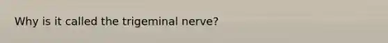 Why is it called the trigeminal nerve?