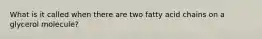 What is it called when there are two fatty acid chains on a glycerol molecule?