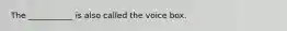 The ___________ is also called the voice box.