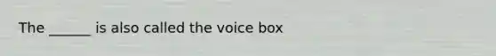 The ______ is also called the voice box