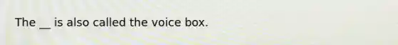 The __ is also called the voice box.