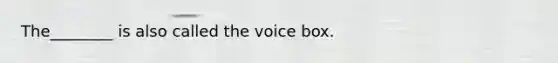 The________ is also called the voice box.