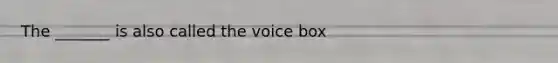 The _______ is also called the voice box