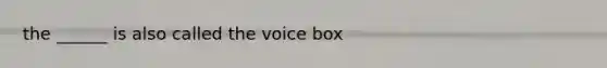 the ______ is also called the voice box