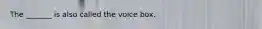 The _______ is also called the voice box.