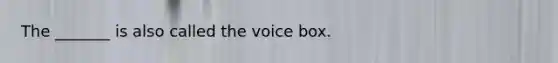 The _______ is also called the voice box.