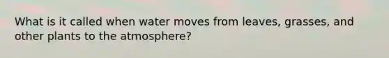 What is it called when water moves from leaves, grasses, and other plants to the atmosphere?